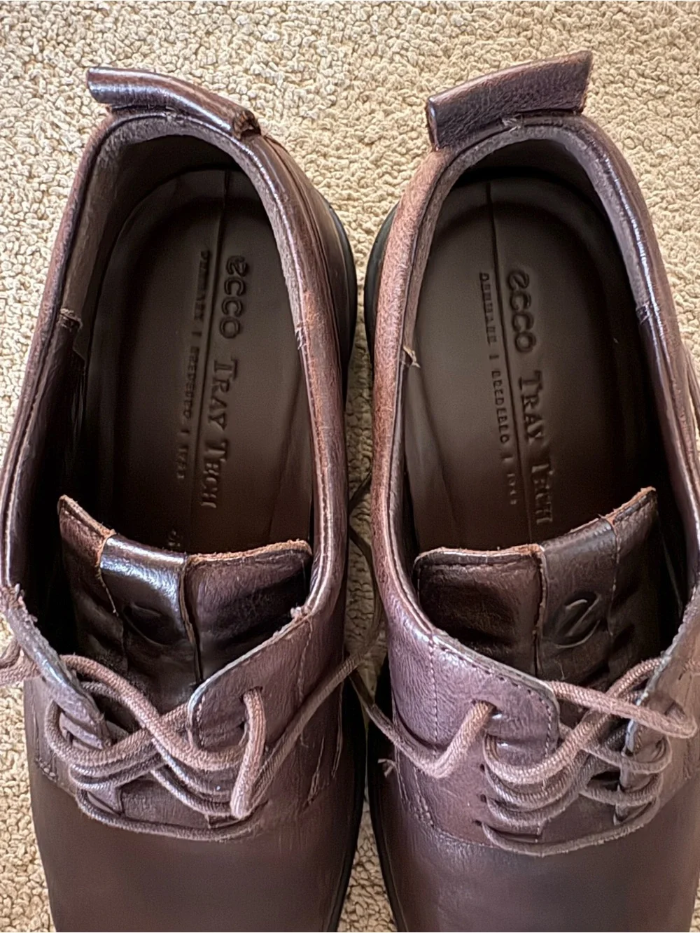Ecco this pair
